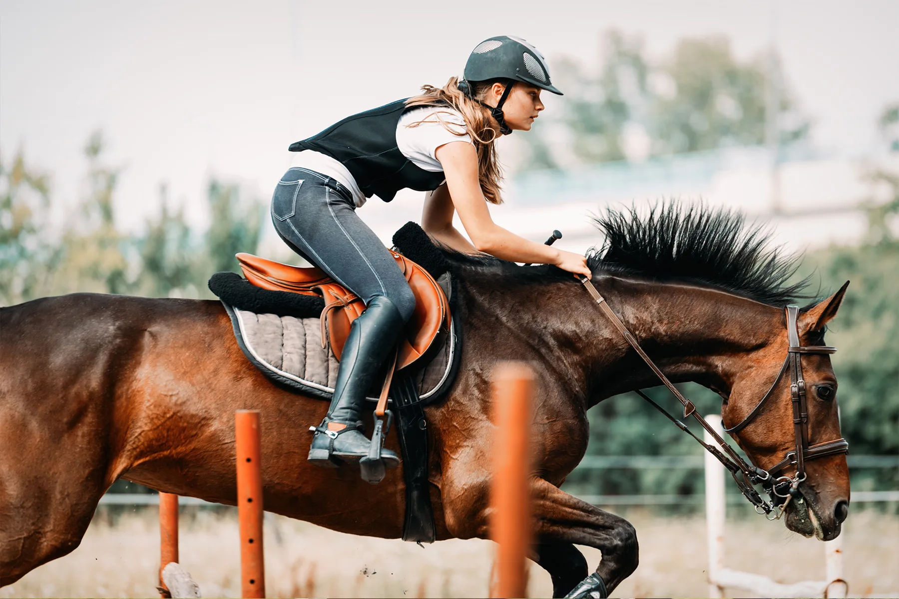 Jinete entrenando con un caballo